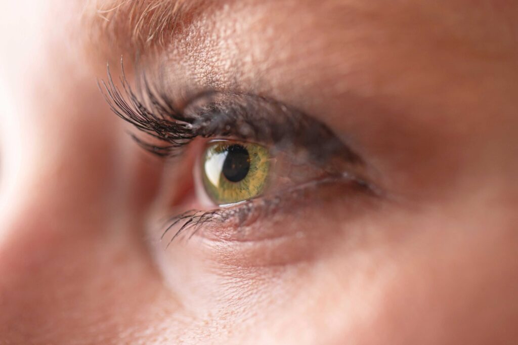 Alcon Julho Turquesa crédito Getty Images